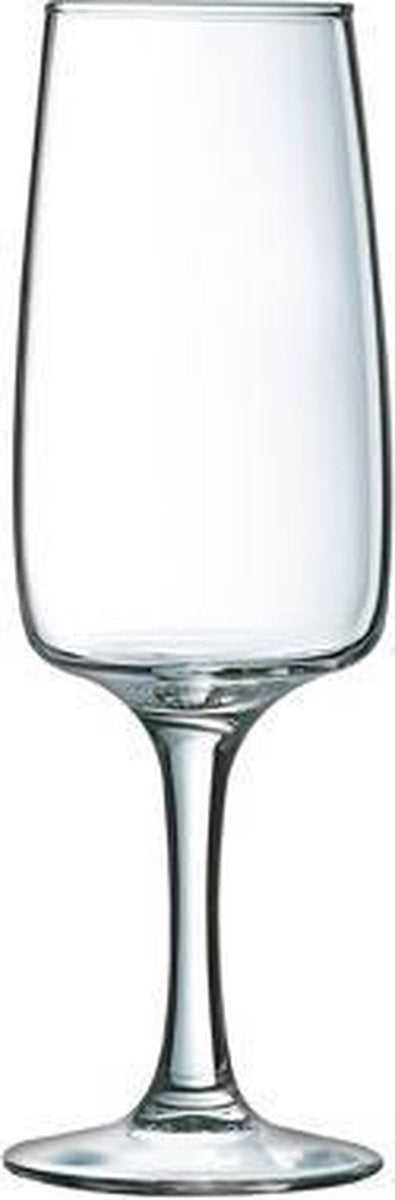 Equipe home champagneglas - champagneglazen - 6 stuks - 17cl