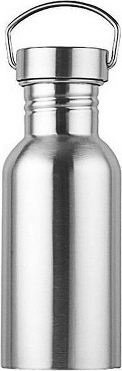 RVS drinkfles 500 ml
