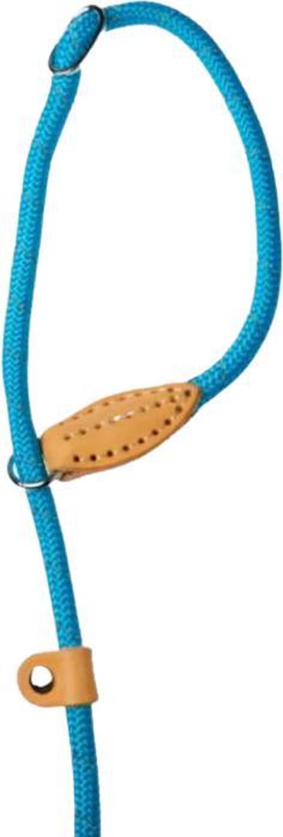 Doodlebone Hondenlijn Retriever 170 X 0