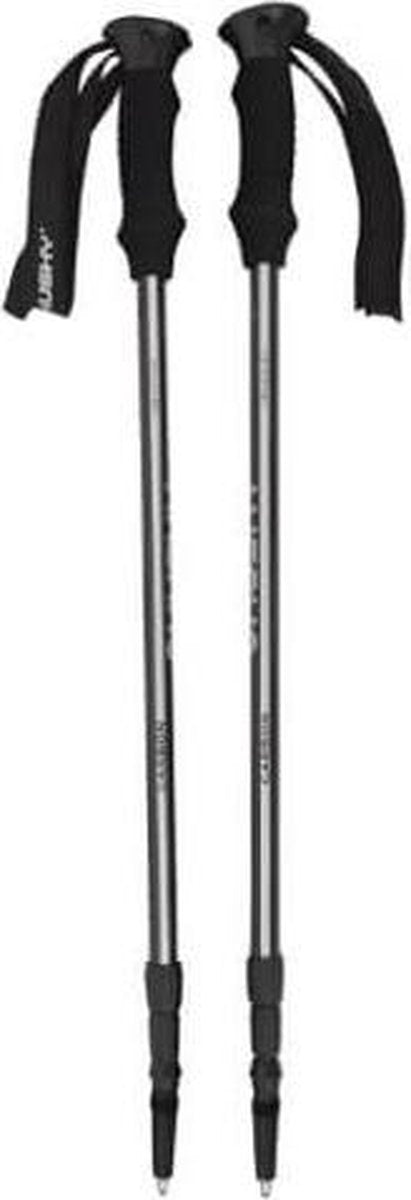 Husky wandelstokken (set) Scope carbon  - grijs/zwart
