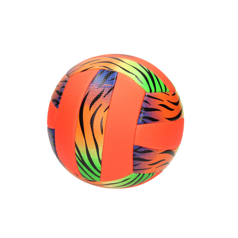 Volleybal