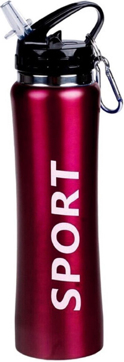 Sport Bidon drinkfles/waterfles Sport print rood 600 Ml van Aluminium met karabijnhaak
