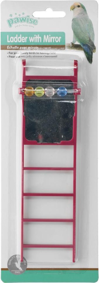 Bird ladder with mirror