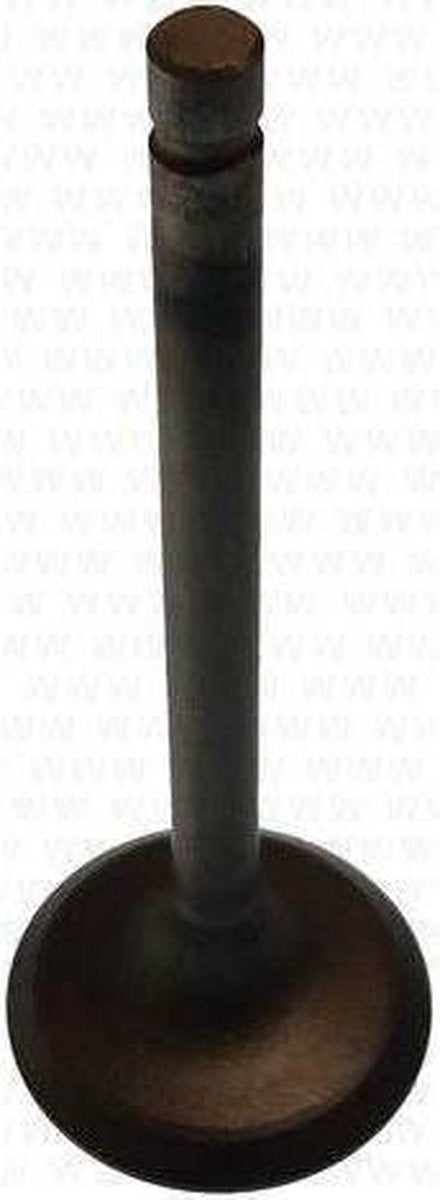 Aftermarket (Yamaha / Parsun) Valve
