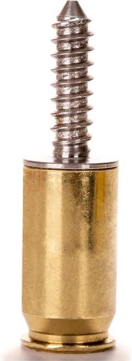 Lucky Shot - Kentekenplaatschroefjes - .45 Cal Brass (2 stuks)