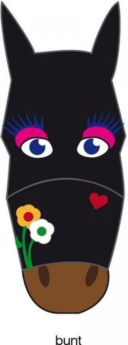 Vliegenmasker Bunt met leuke opdruk