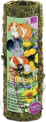 Esve lenterol - small 20 cm - 1 stuks