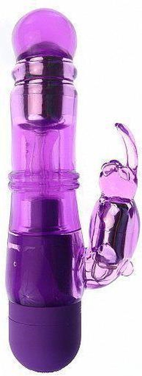 Evolved Vibrator Honey Bunny Paars