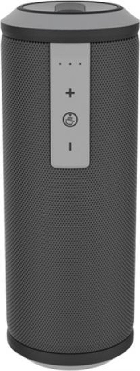 Alpha Plus Bluetooth Portable Speaker
