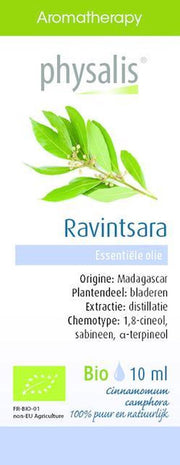 Physalis Etherische Olie Ravintsara Bio 10ml - Diffuser