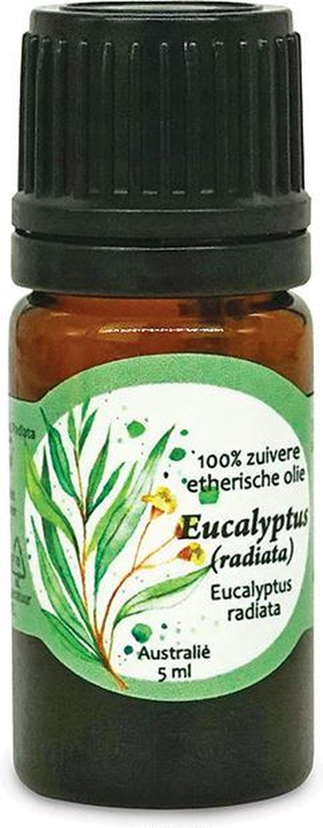 Aromama Etherische Olie Eucalyptus Radiata 5 Ml Vegan