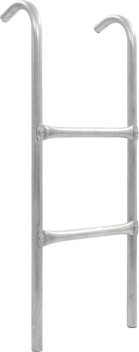 vidaXL Trampolineladder met 2 sporten 82.5 cm staal zilverkleurig