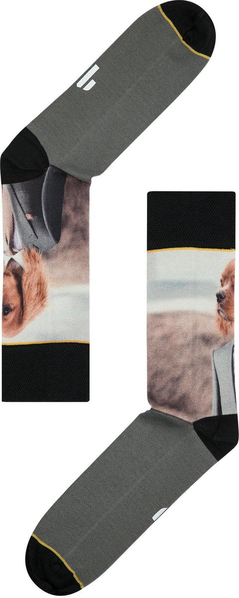 Sock My Feet Dog Heren FW18M011