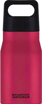 Sigg Drinkfles Explorer 550 Ml 7