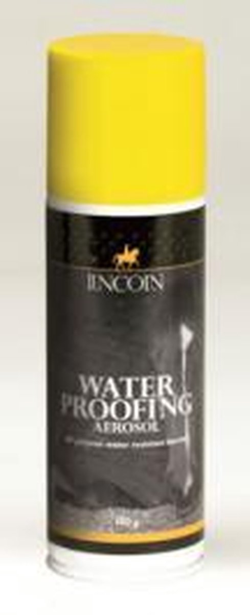 Waterproofing Aerosol Lincoln
