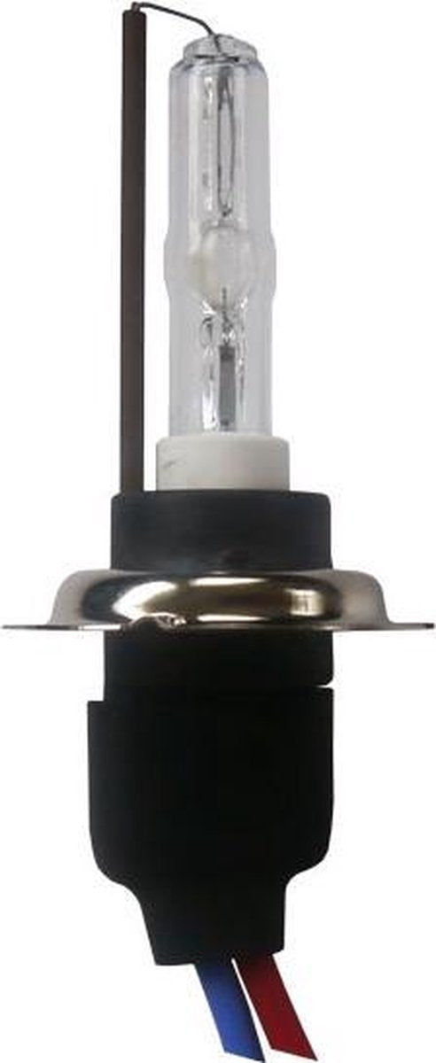 H7C 4300k Xenonlamp.nl Xenon vervangingslamp Outlet