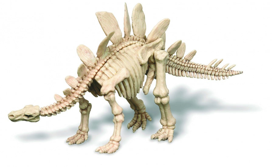 Kidzlabs: Graaf-Je-Dinosaurus-Op Stegosaurus REX
