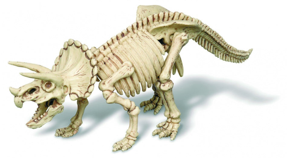 Kidzlabs: Graaf-Je-Dinosaurus-Op Triceratops