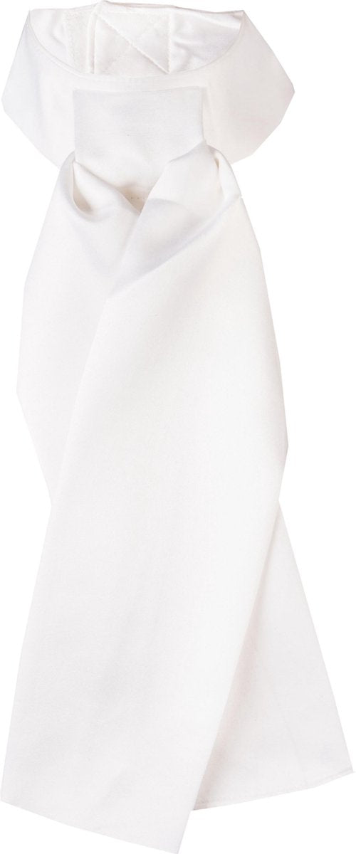 PLASTRON