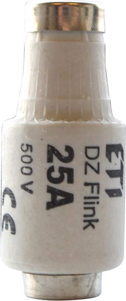 zekering snel 25A