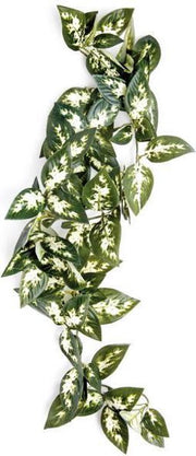 Komodo Borneo Hangende Varen - 40 cm