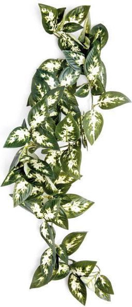 Komodo Borneo Hangende Varen - 40 cm