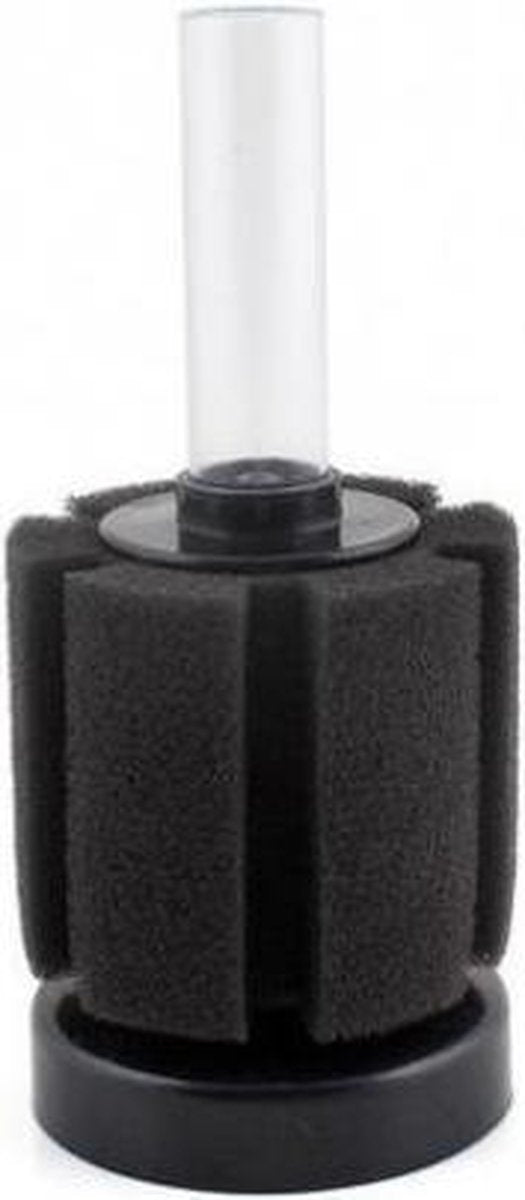 Sponsfilter - staand - 5.5 × 5.5 × 12 cm