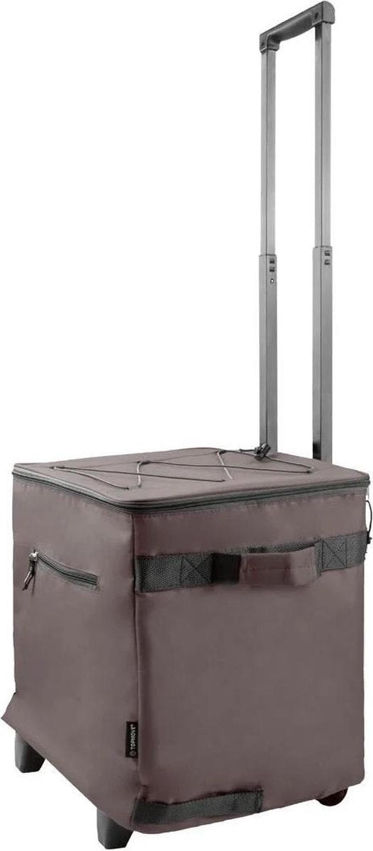 Koelbox Koeltas - Boodschappentrolley MET KOELFUNCTIE 40L EN OPVOUWFUNCTIE - strandtas - strand - trolley - trolley op wieltjes - trolley - boodschappenwagen