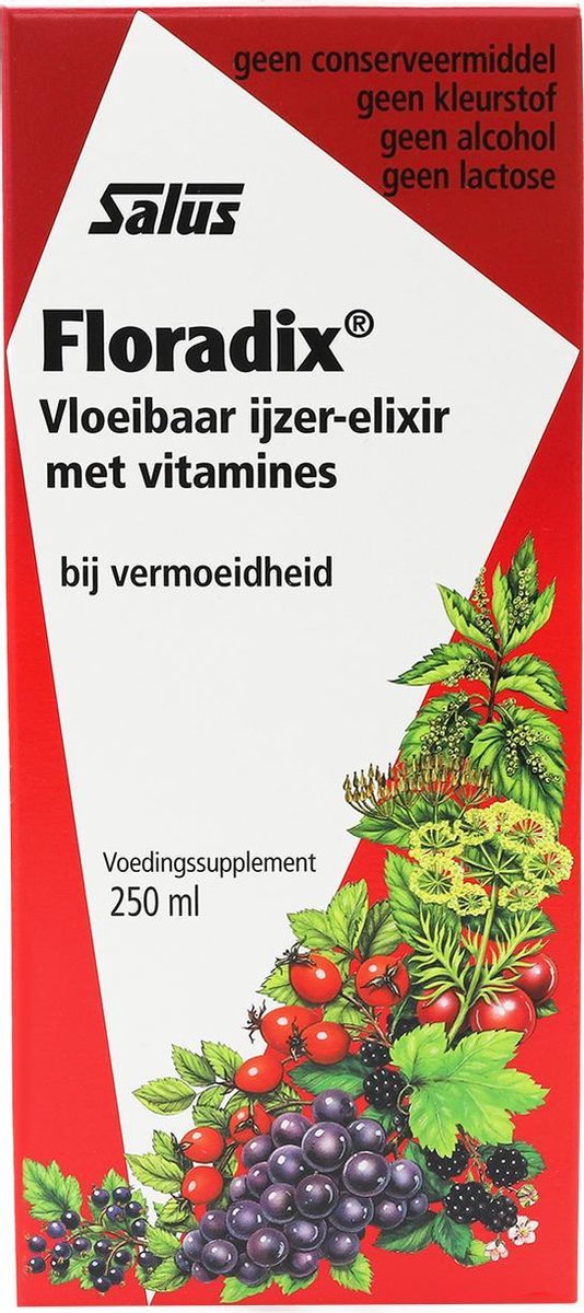 Salus Floradix IJzer-elixir – Bij vermoeidheid – Voedingssupplement – 250 ml