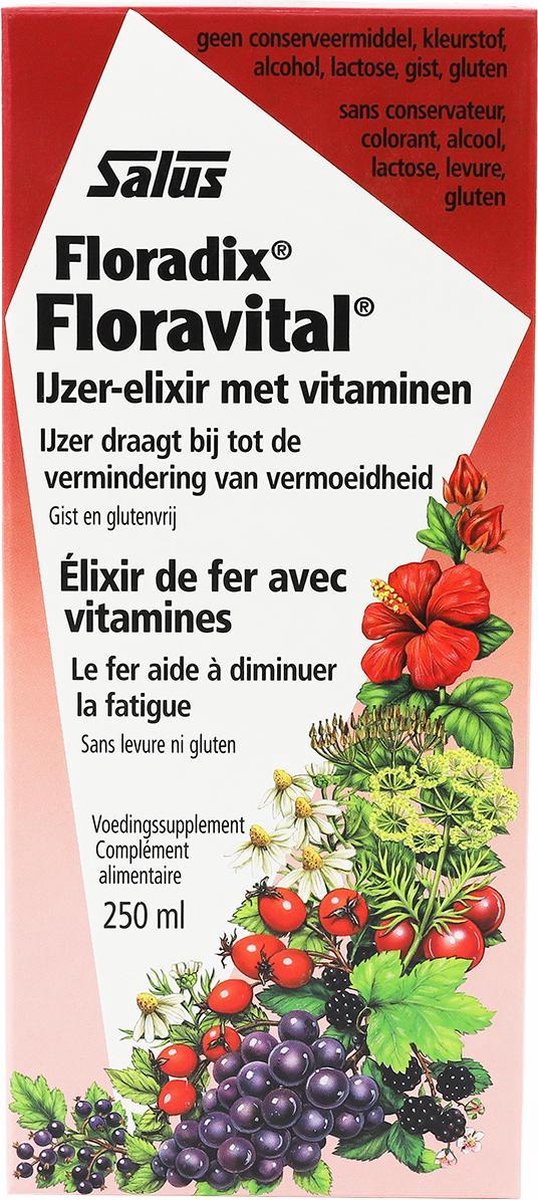 Salus Floradix Floravital – Bij vermoeidheid – Vegan vloeibaar ijzer-elixir met groente-extracten en vruchtenconcentraten – 250 ml