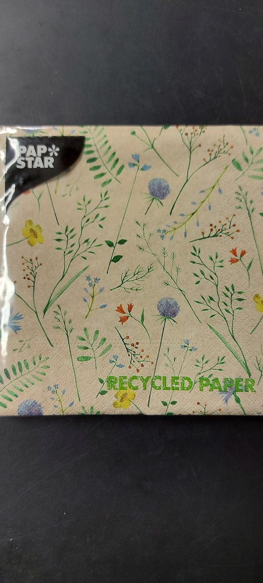 Papstar Recycled Paper Servetten Gerecycled