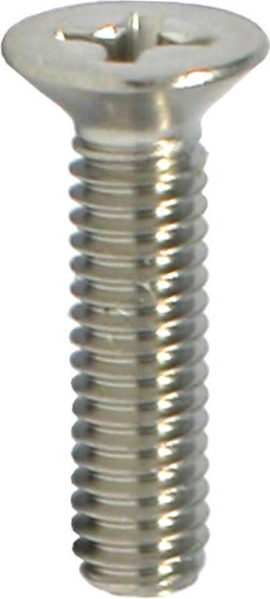 Metaalschroef PK met moer - rvs - M3 x 20 mm (30 stuks)