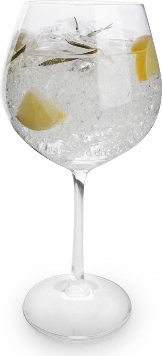 Salt & Pepper Cuvee Gin Tonic Glazen - 650 ml - 4 stuks
