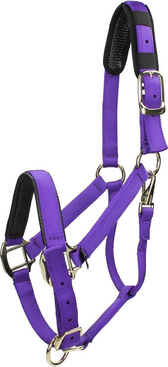 Shires Halster Nylon Topaz - Purple - full