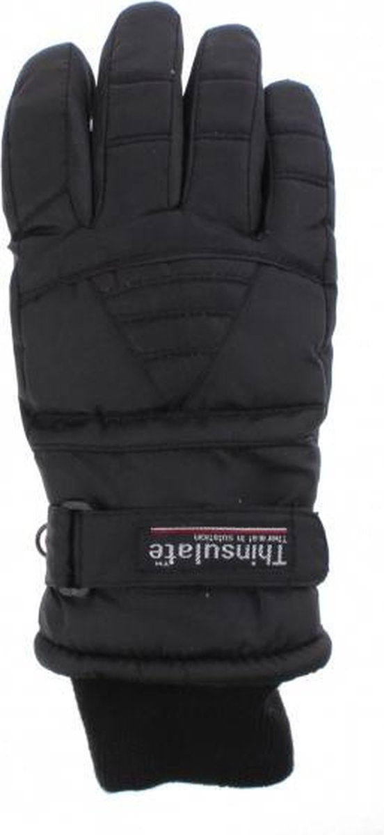 Thinsulate Skihandschoenen Dames Zwart Maat Xl