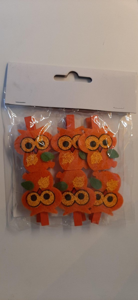 2 x 6 stuks miniknijper wasknijper oranje  met uiltjeafbeelding voor verjaardag geboorte foto decoratie kaartjes vosjes op wasknijper
