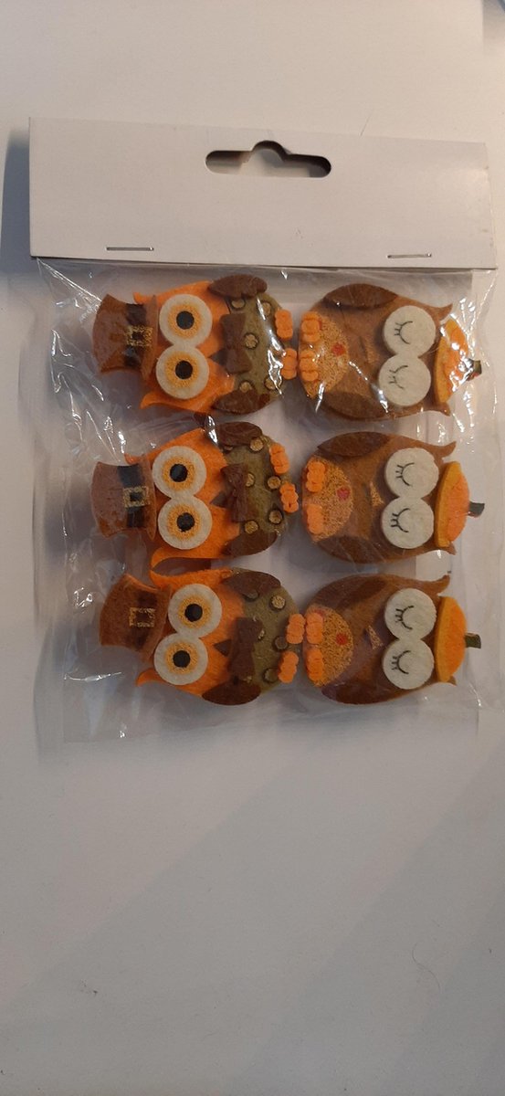 6 stuks miniknijper wasknijper hout met uilafbeelding voor verjaardag geboorte foto decoratie kaartjes uiltjes op wasknijper