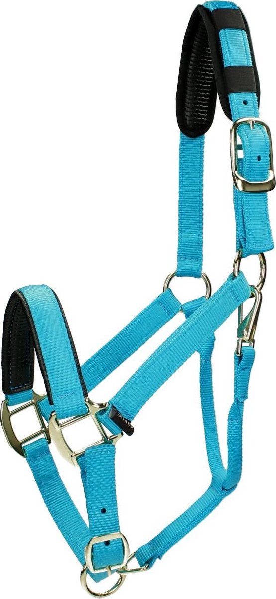 Shires Halster Nylon Topaz - Blue - cob