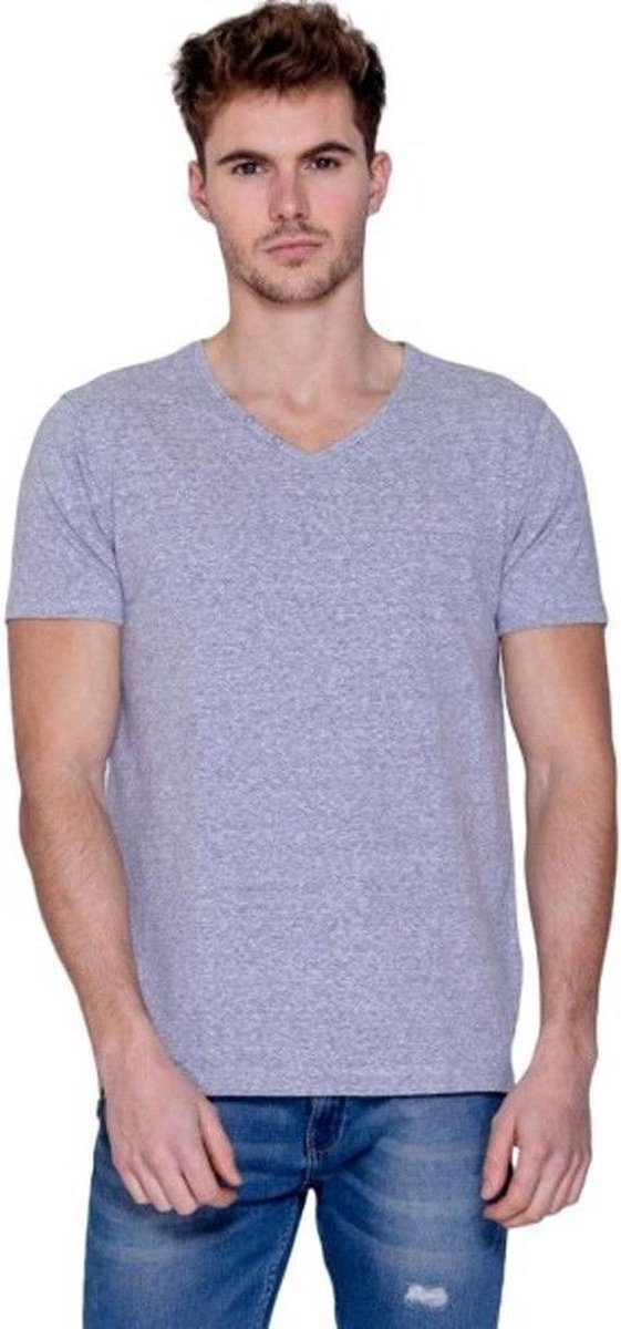 MZ72 - Heren T-Shirt - Toocolor Snow - Grijs