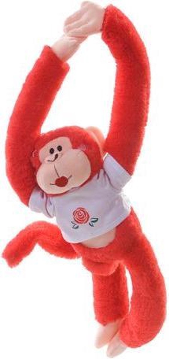 Rainbow Monkey Rose Knuffel 40cm