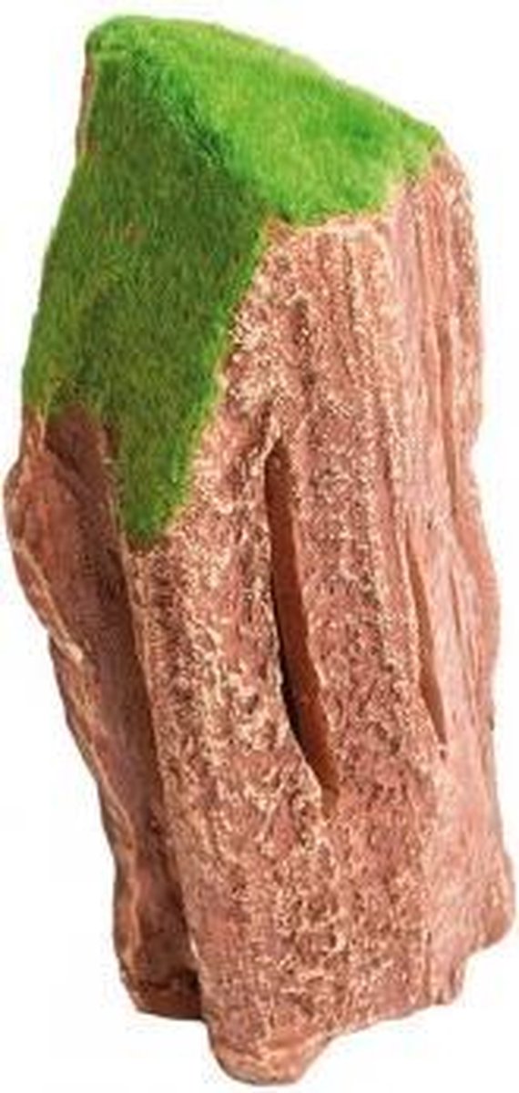 Sf fossie houtdecoratie L 20x9x8cm