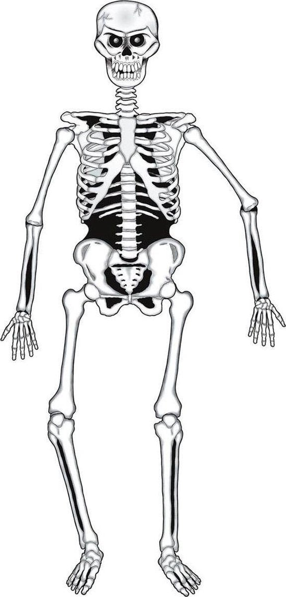 Kartonnen skelet versiering Halloween - Feestdecoratievoorwerp
