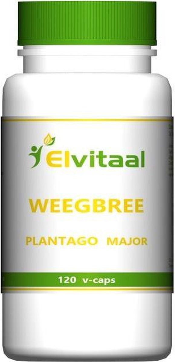 Elvitaal Weegbree