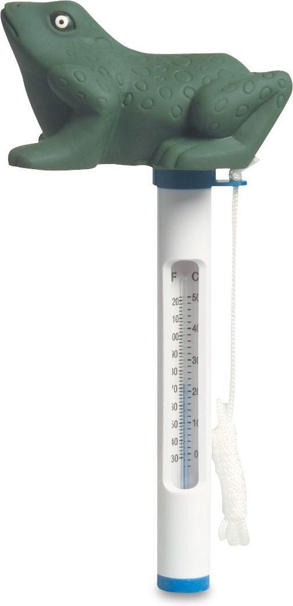 MegaPool Thermometer Kikker