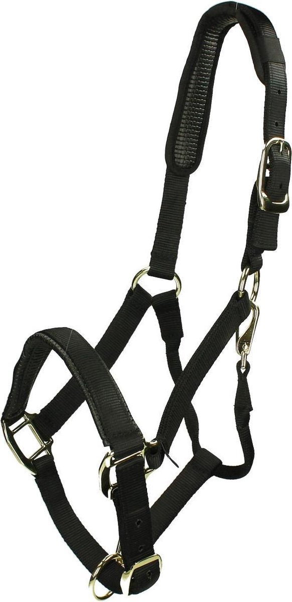 Shires Halster Nylon Topaz - Black - full