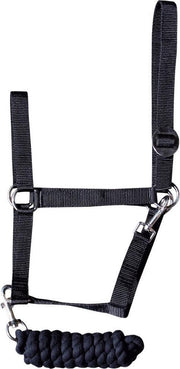 Halsterset Initial black pony