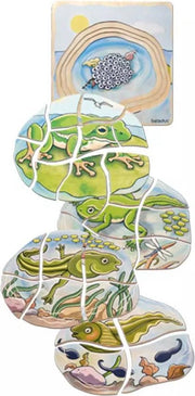 Lagenpuzzel kikker