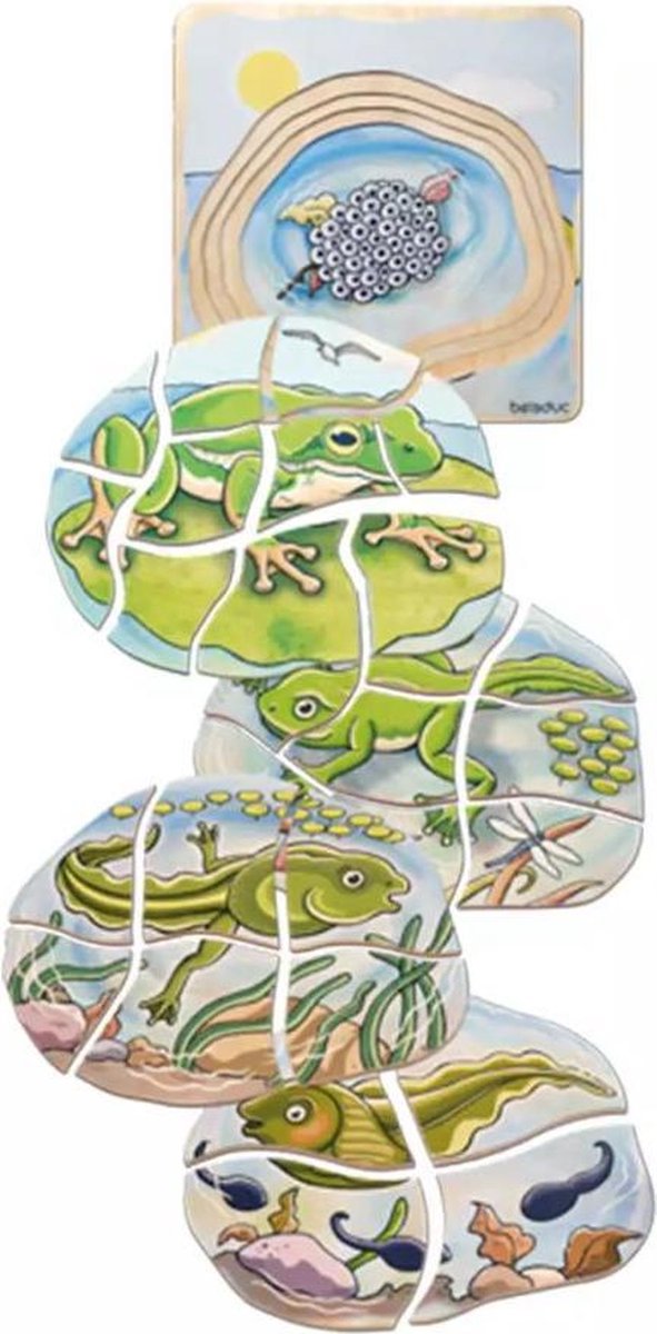 Lagenpuzzel kikker