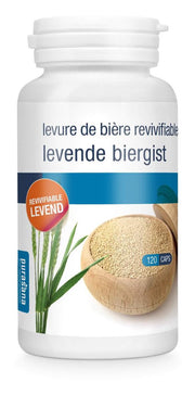 Biergist 300Mg Levend Purasana