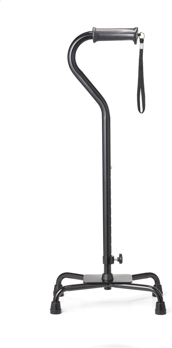 Wandelstok Quadro - groot
